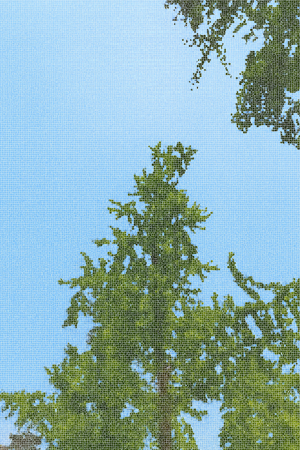 A serene landscape with a maple tree and a calm lake